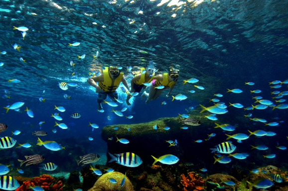 深海龙宫之旅   圣淘沙名胜世界海景套房设计欣赏